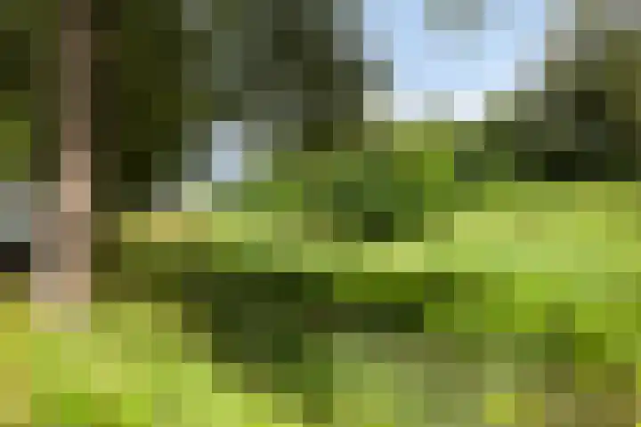 Gangboord 50 Amersfoort thumbnail 25