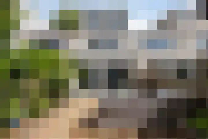Gangboord 50 Amersfoort thumbnail 5