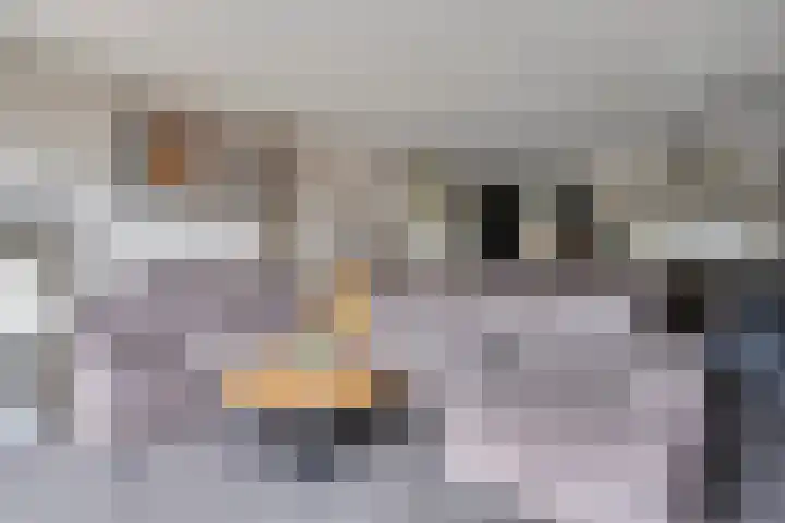 Gangboord 50 Amersfoort thumbnail 9