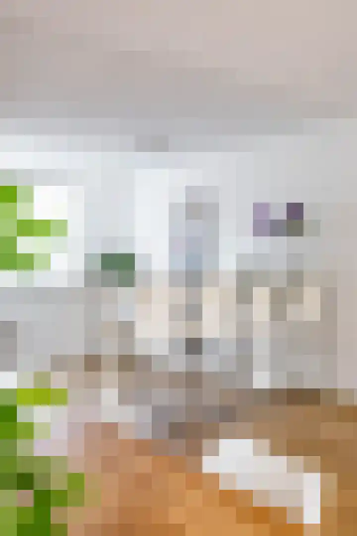 Gangboord 58 Groningen thumbnail 11
