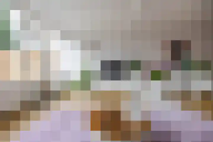 Gangboord 58 Groningen thumbnail 16