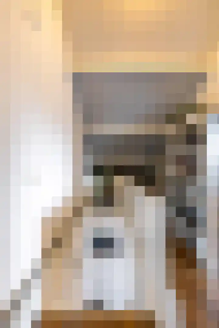 Gangboord 58 Groningen thumbnail 32