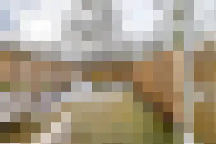 Gangboord 58 Groningen thumbnail 36