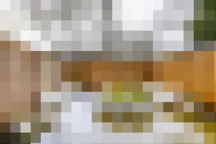 Gangboord 58 Groningen thumbnail 37