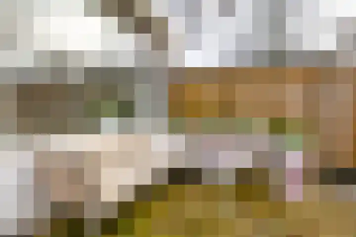 Gangboord 58 Groningen thumbnail 39