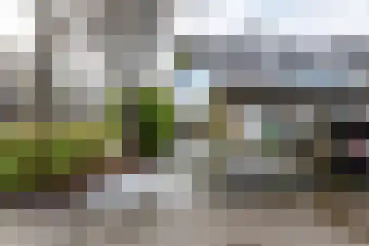 Gangboord 58 Groningen thumbnail 40