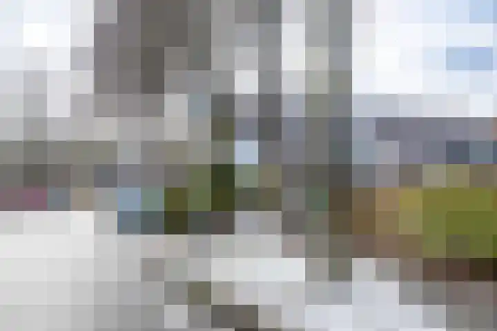 Gangboord 58 Groningen thumbnail 41