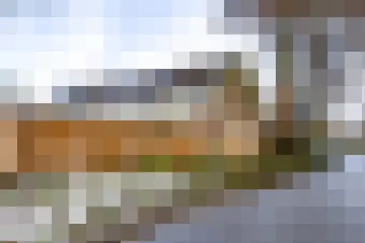 Gangboord 58 Groningen thumbnail 42