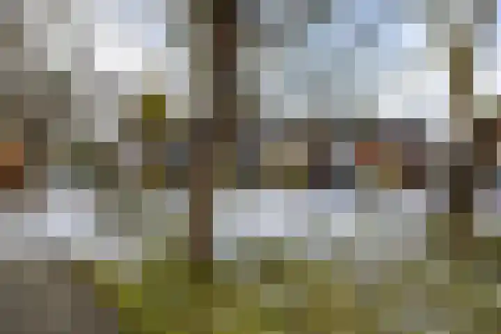 Gangboord 58 Groningen thumbnail 43