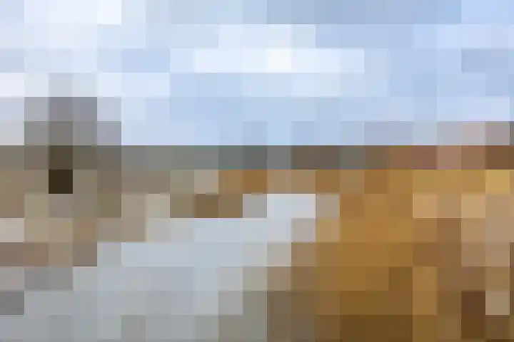 Gangboord 58 Groningen thumbnail 45