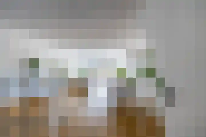 Gangboord 58 Groningen thumbnail 6