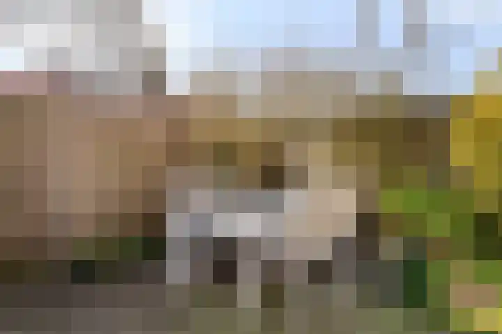 Gangboord 60 Amersfoort thumbnail 28
