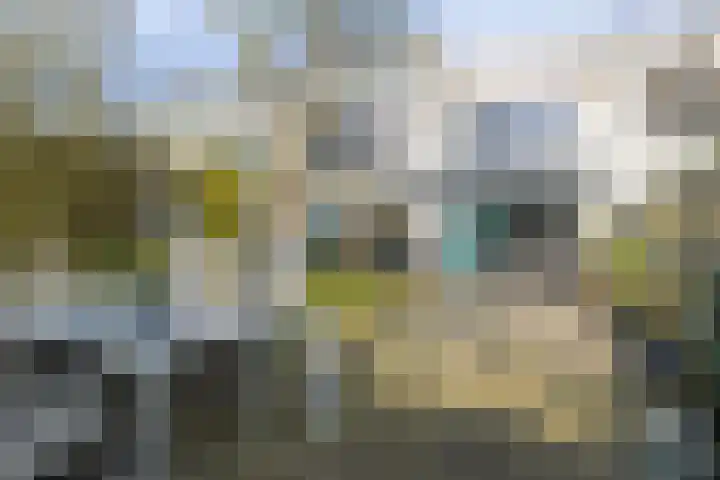 Gangboord 60 Amersfoort thumbnail 29