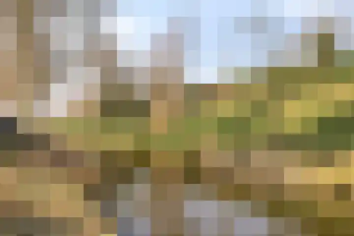Gangboord 60 Amersfoort thumbnail 32
