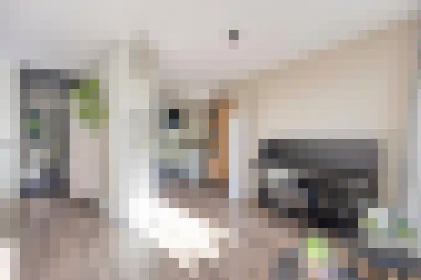 Gangboord 86 Amersfoort thumbnail 13
