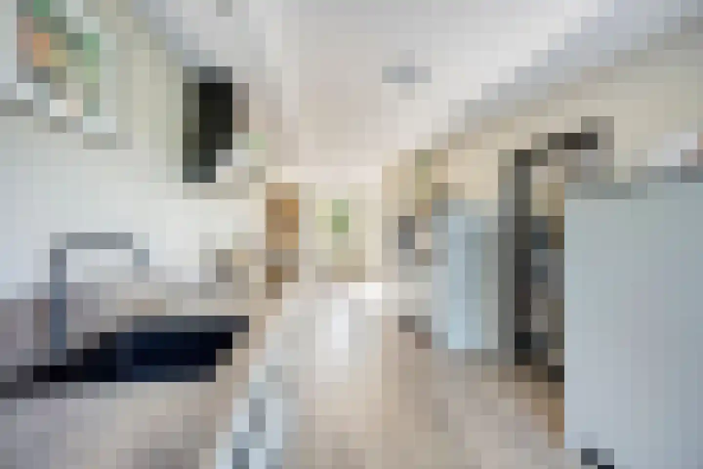 Gangboord 86 Amersfoort thumbnail 15