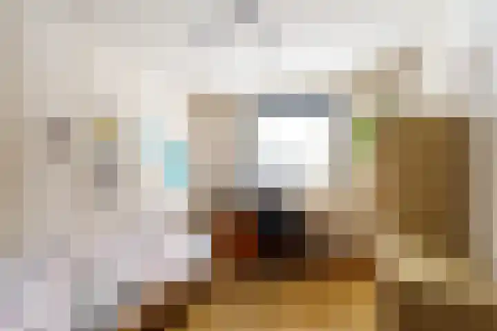 Gangboord 88 Amersfoort thumbnail 16