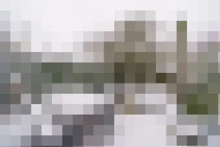 Gangboord 88 Amersfoort thumbnail 29