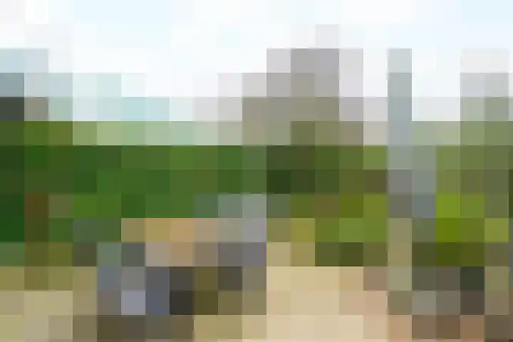 Gangboord 88 Amersfoort thumbnail 30