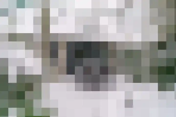 Gangboord 88 Amersfoort thumbnail 32