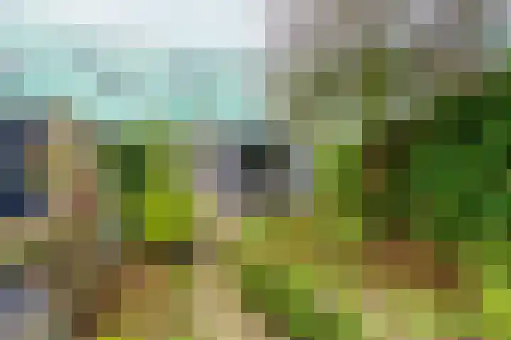 Gangboord 88 Amersfoort thumbnail 33