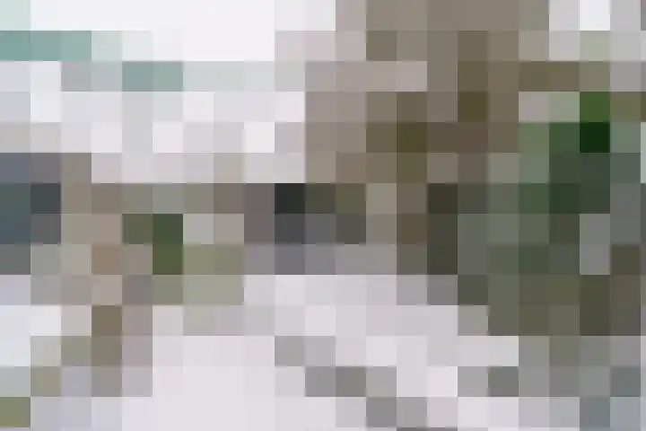 Gangboord 88 Amersfoort thumbnail 34