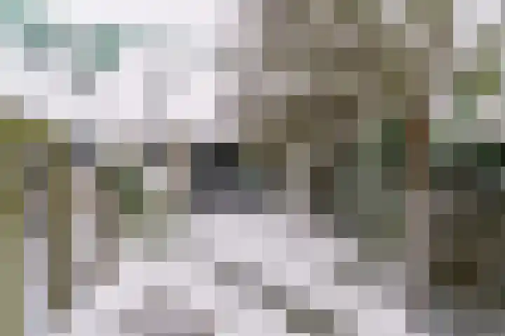 Gangboord 88 Amersfoort thumbnail 35