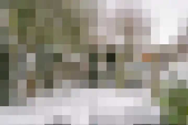 Gangboord 88 Amersfoort thumbnail 36
