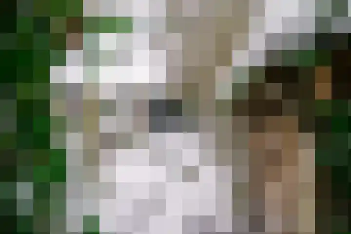 Gangboord 88 Amersfoort thumbnail 37