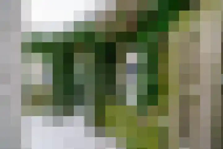 Gangboord 88 Amersfoort thumbnail 38