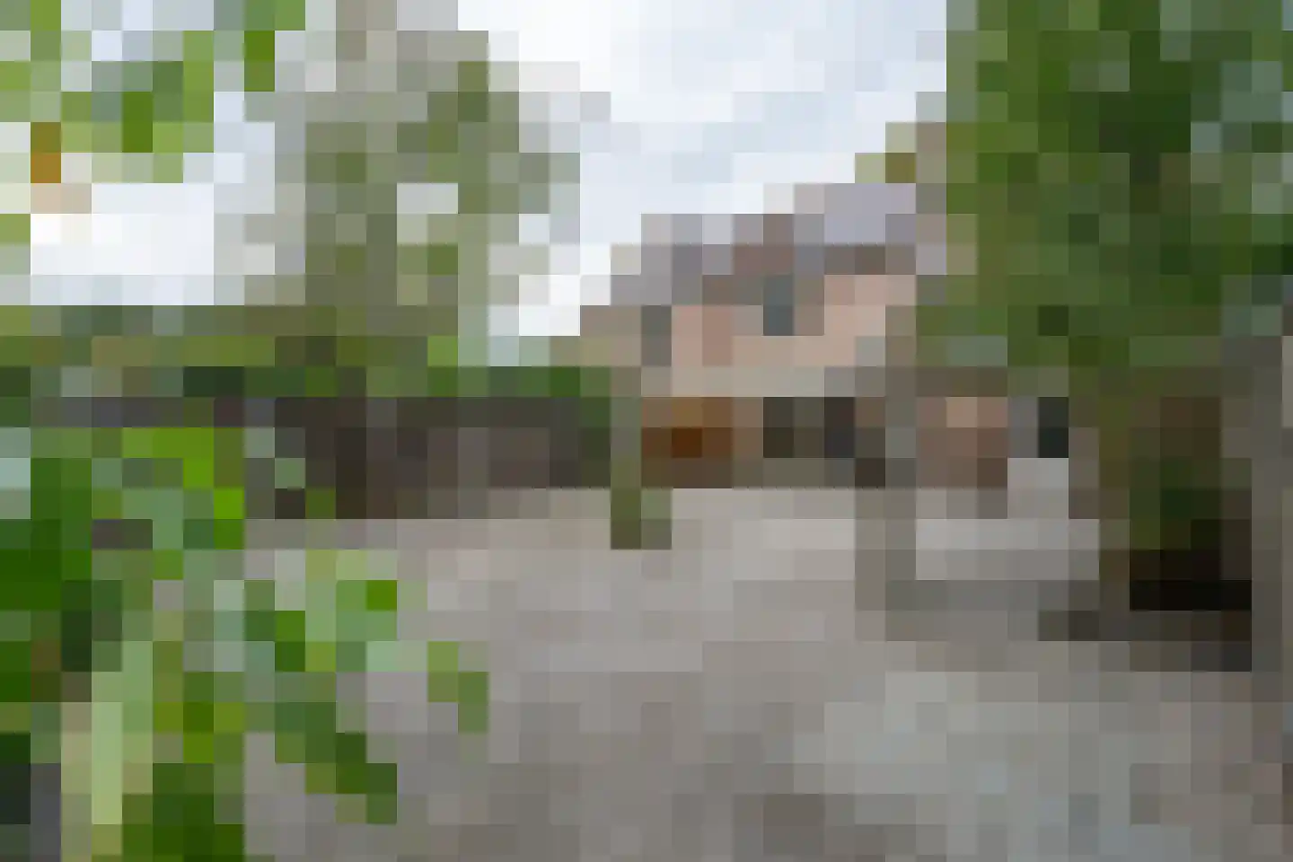 Gangeltstraat 13 Sittard thumbnail 27