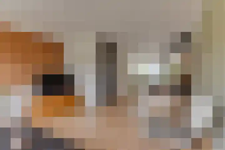 Gangeslaan 140 Purmerend thumbnail 12