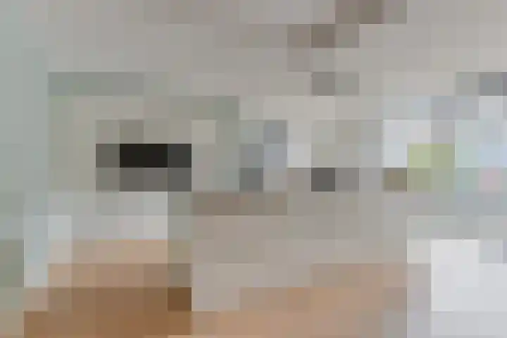 Gangeslaan 140 Purmerend thumbnail 15