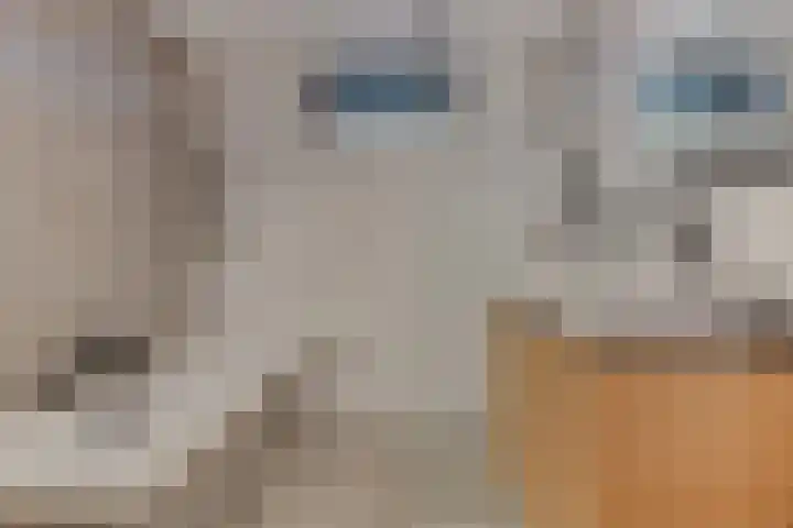 Gangeslaan 140 Purmerend thumbnail 30