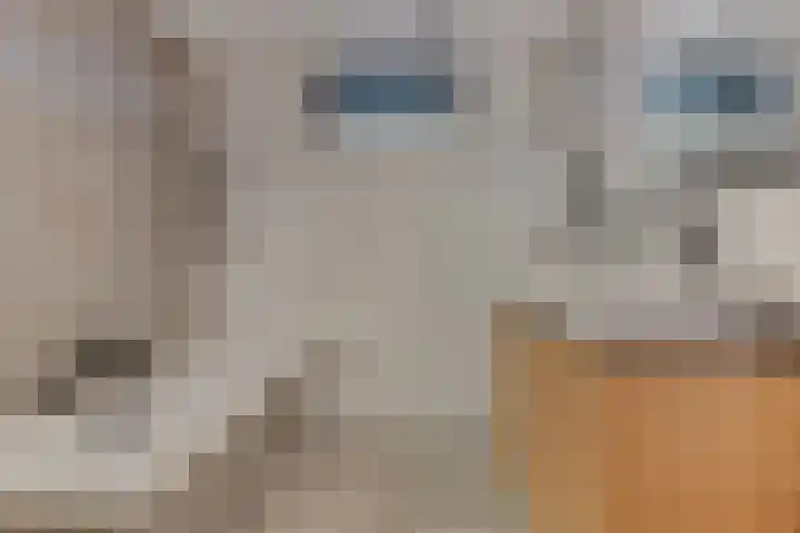 Gangeslaan 140 Purmerend thumbnail 5