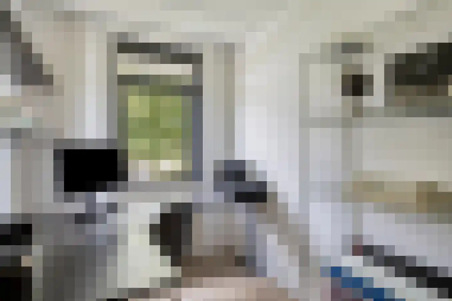 Gangeslaan 152 Purmerend thumbnail 28