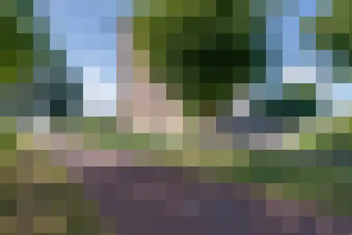 Gangeslaan 206 Purmerend thumbnail 46