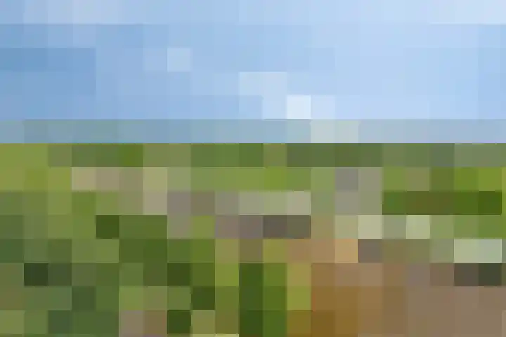 Gangeslaan 238 Purmerend thumbnail 34