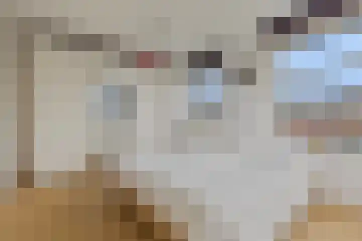 Gangeslaan 30 Purmerend thumbnail 17
