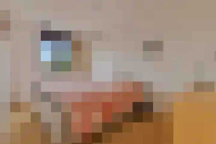 Gangeslaan 30 Purmerend thumbnail 21