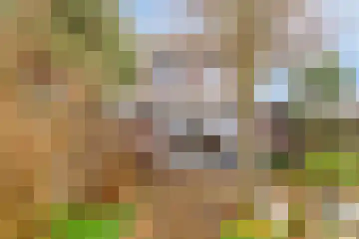 Gangeslaan 30 Purmerend thumbnail 32