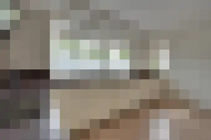 Gangeslaan 64 Purmerend thumbnail 27