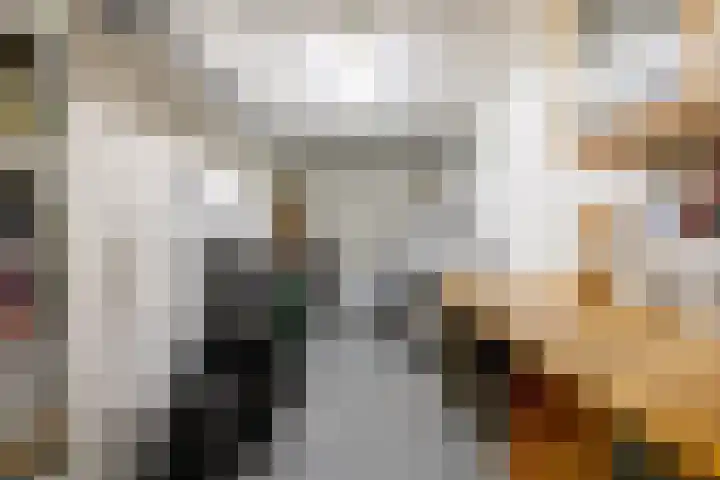 Gangeslaan 71 Purmerend thumbnail 44