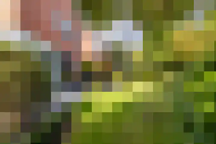 Gangeslaan 71 Purmerend thumbnail 49