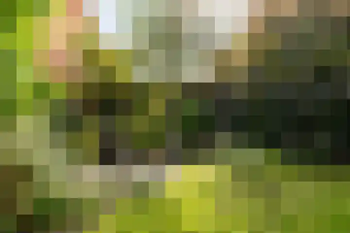Gangeslaan 71 Purmerend thumbnail 51