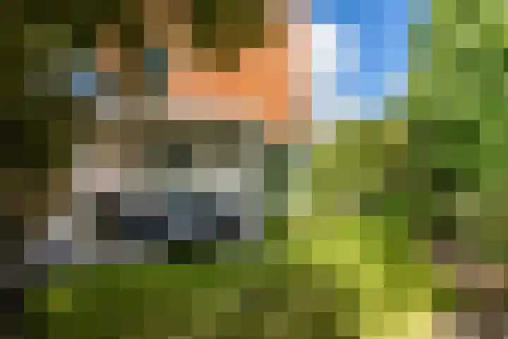 Gangeslaan 71 Purmerend thumbnail 53