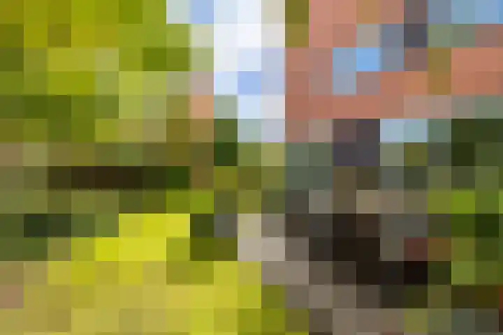 Gangeslaan 71 Purmerend thumbnail 6