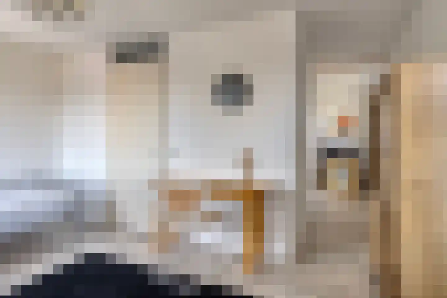 Gangeslaan 98 Purmerend thumbnail 34