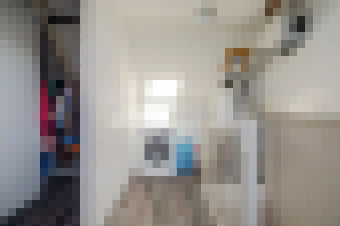 Gangesstraat 26 Spijkenisse thumbnail 28