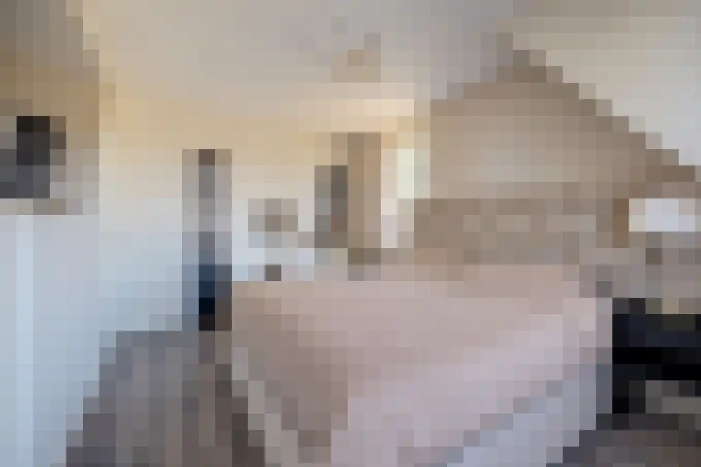 Gangesstraat 26 Spijkenisse thumbnail 29